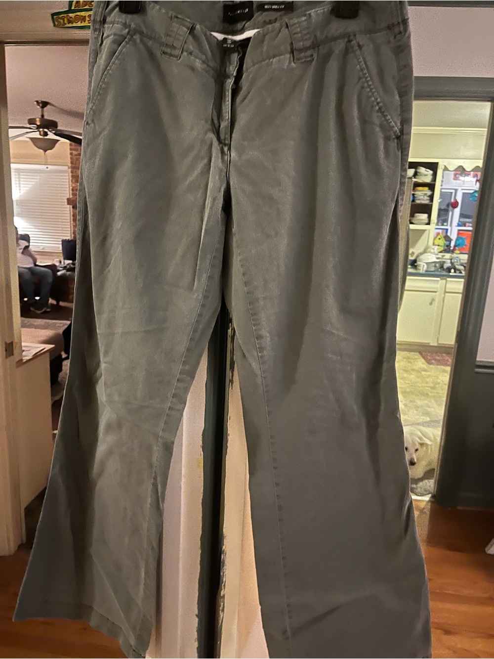 The Limited Sexy Drew Fit Pants in Olive